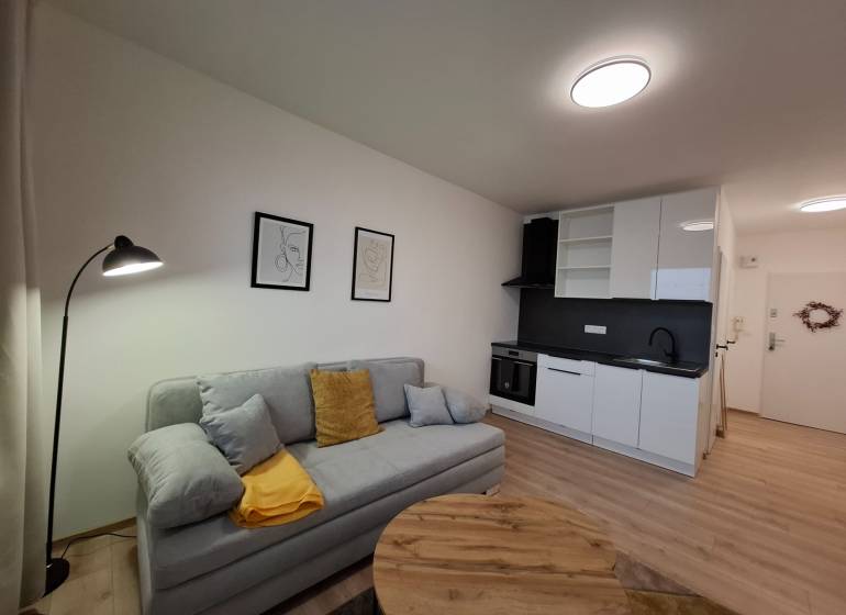 Studio apartment with a kitchen, sofa, and wood-patterned flooring, minimalist wall decoration.