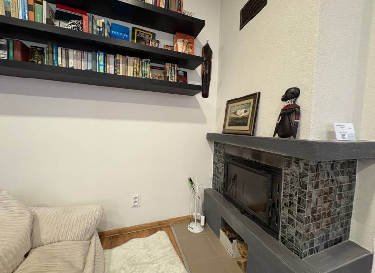 Library and fireplace in a cozy studio apartment with decorative African motif.