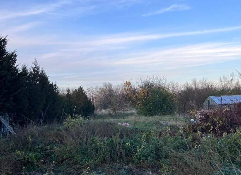 Garden at the family house in Kajal with greenery and blue sky.