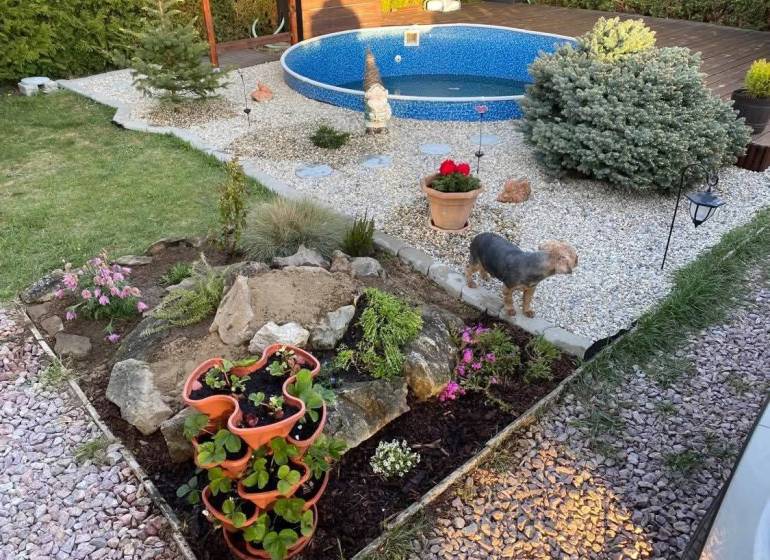A garden in Kráľová nad Váhom near a cottage with a swimming pool, flowers, and a dog.