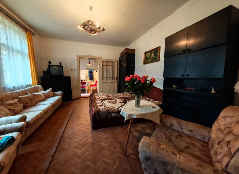 Living room in a family house with sofas, TV, and wood-patterned flooring.