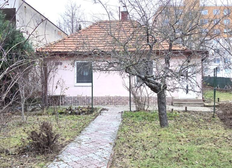 A family house in Levice on 29th August Street with a front garden and trees.