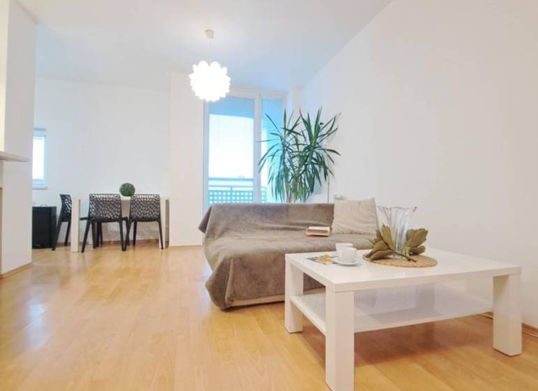 Living room in a two-room apartment with a wooden decor floor, sofa, and coffee table.