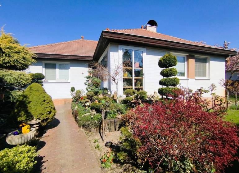 A family house in Šaľa with a landscaped garden, pathway, and greenery under a blue sky.