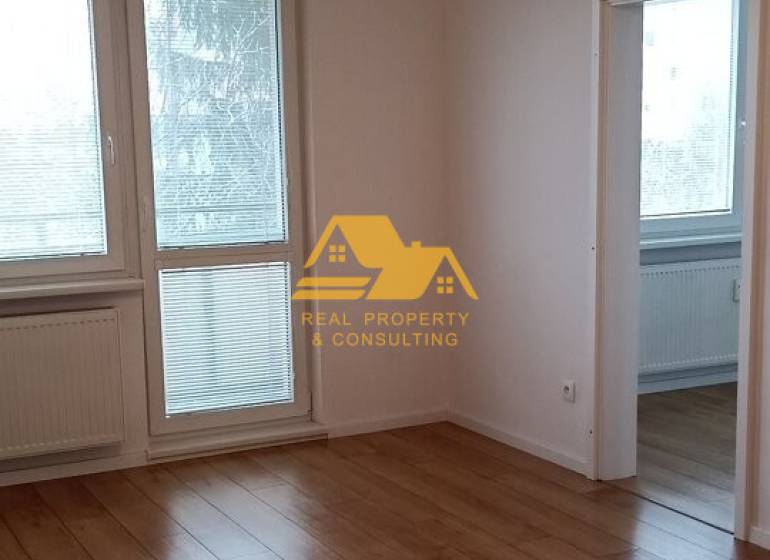 Bright 2-room apartment with wood-patterned flooring and large windows.