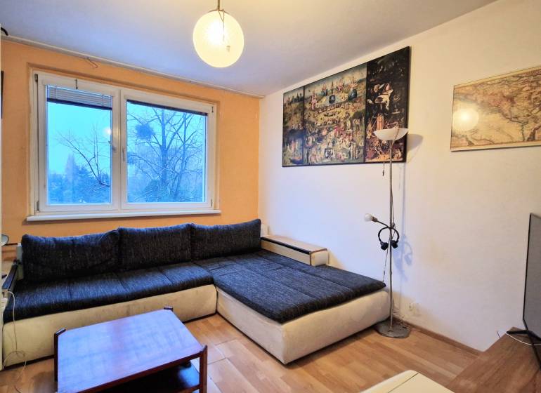 Studio apartment with a living area, corner sofa, wooden decor flooring, and decorative paintings on the wall.