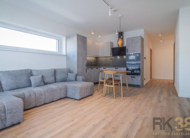 Living room in a two-room apartment with a gray sofa and a kitchen with wooden furniture.