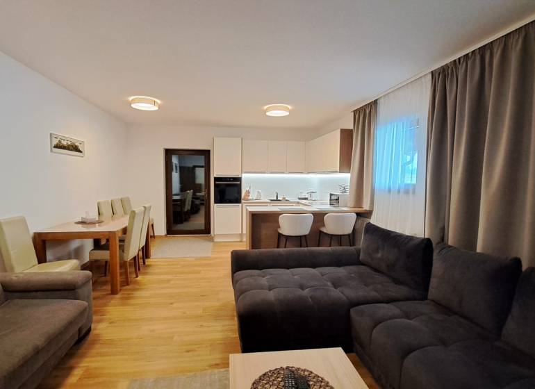 Living room of a two-room apartment with a kitchen, dining table, and wooden decor flooring.