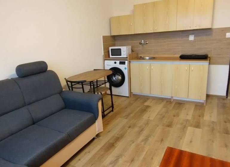 Living room in a studio apartment with a sofa, kitchenette, and wooden decor flooring.