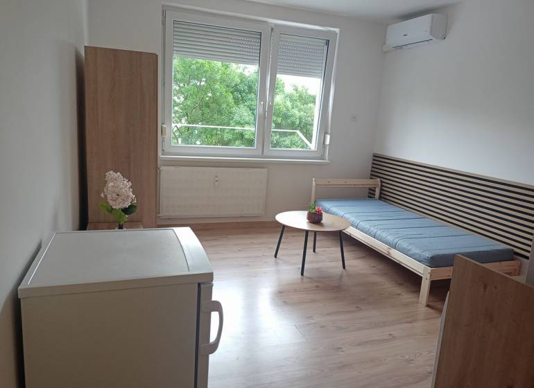 The studio apartment has a floor with a wooden decor, a sofa bed, and a table with a plant.