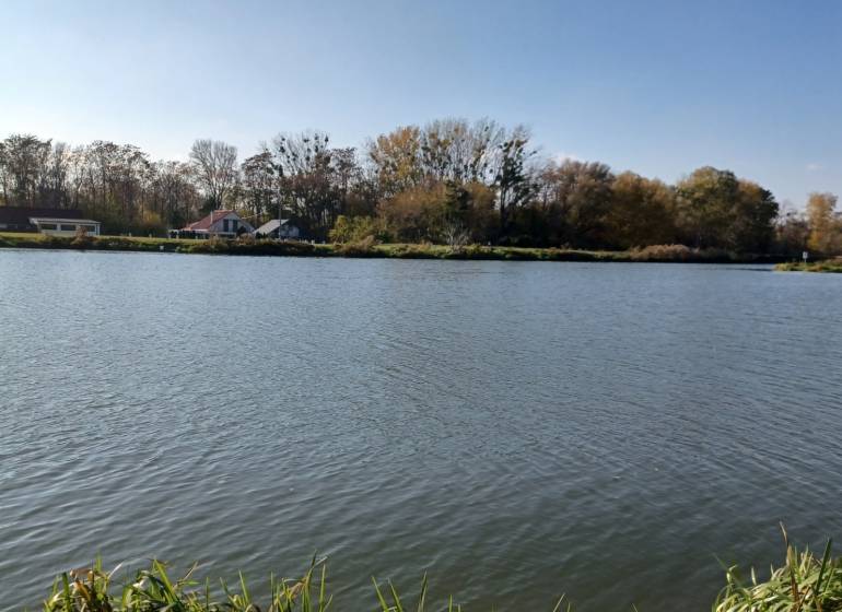 A river flowing through agricultural and forest lands with a rural landscape in Mostová.