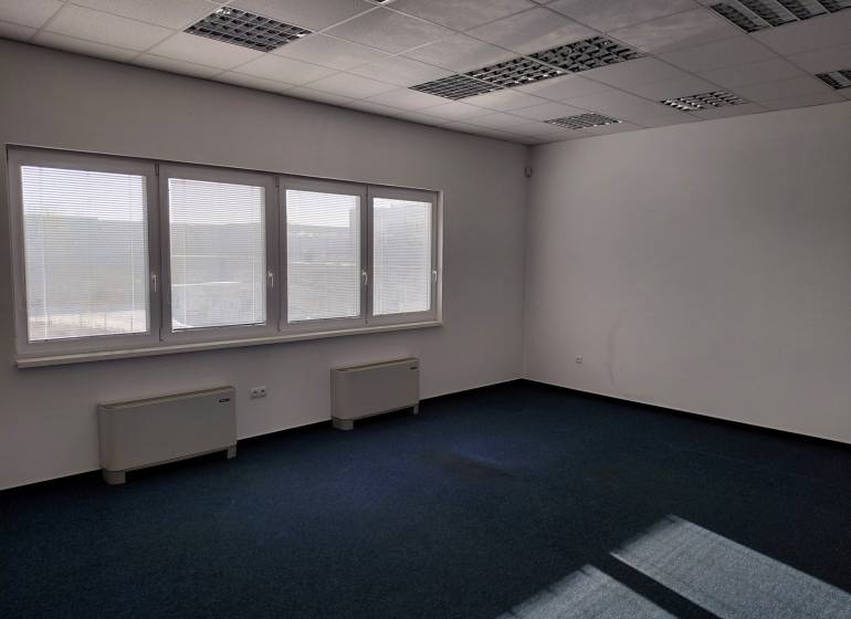 Interiors of warehouses and halls with blue carpet, large windows, and white walls.