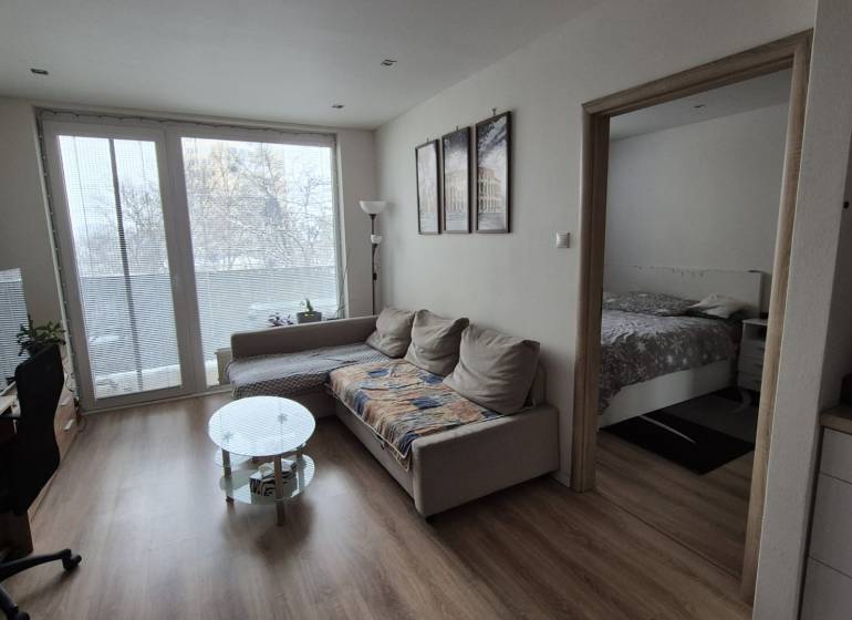 Living room with a sofa, glass table, and wooden floor decor in a two-room apartment.