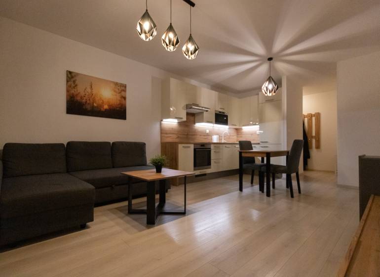 Living room with a corner sofa, kitchenette, and wooden decor flooring in a two-room apartment.