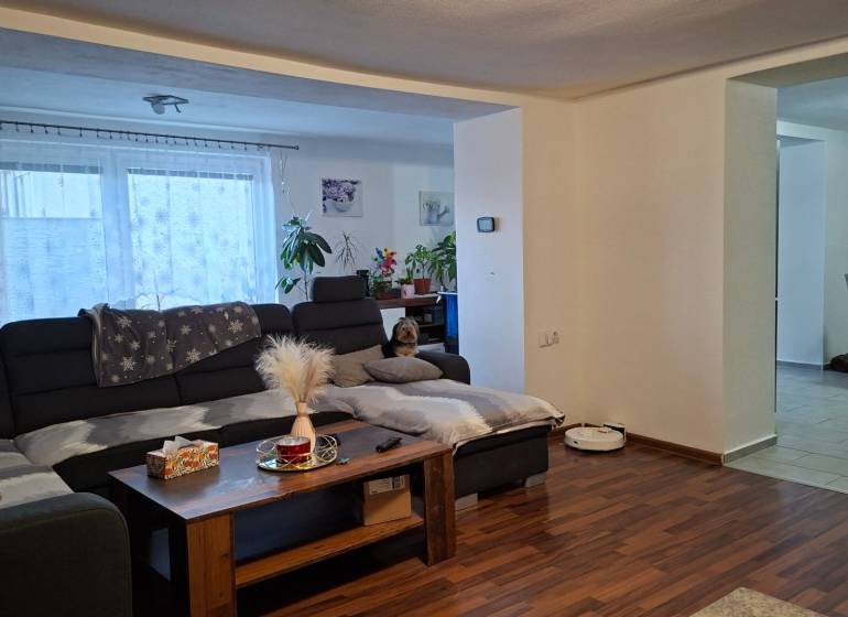 Living room in a family house with a dark sofa, wood-patterned flooring, and decorations.