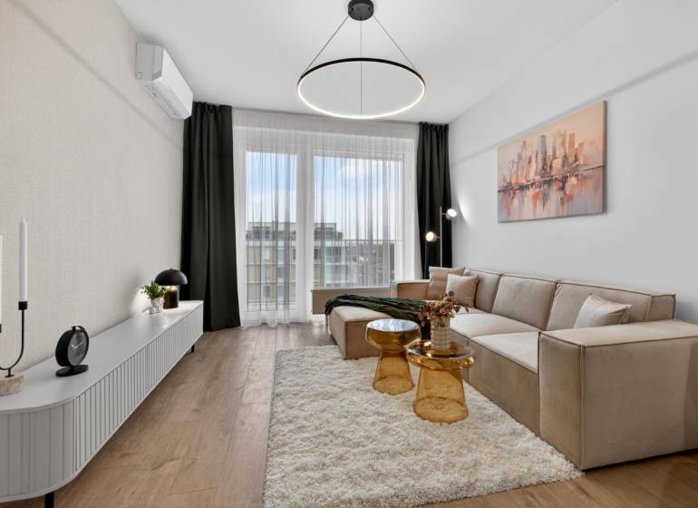 Living room in a two-room apartment with a sofa and a wooden decor floor.