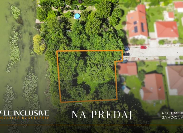 1 - 2025-08-19T134759.504.jpg