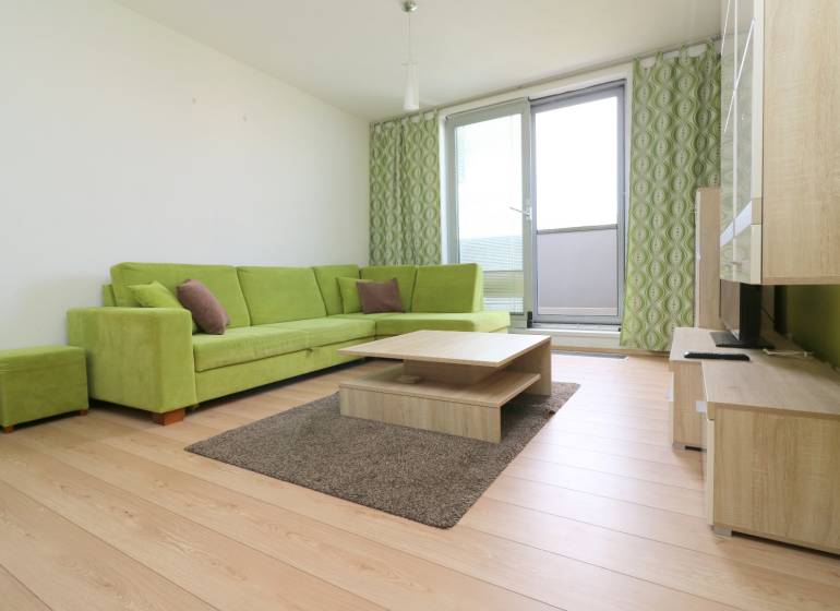 Living room in a two-room apartment with a sofa, coffee table, and wooden floor decor.