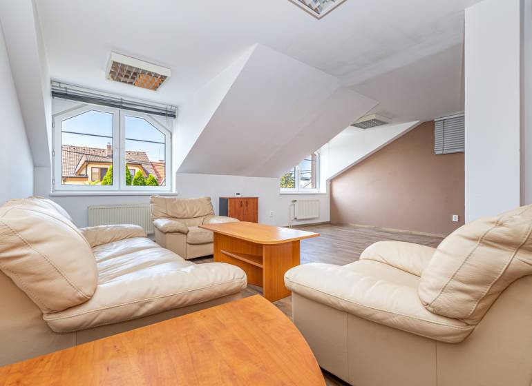 A bright living room in a family house with leather sofas and a wooden decor floor.