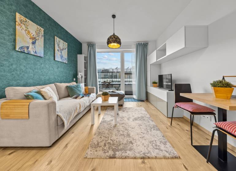 Living room in a one-bedroom apartment with a sofa, TV, carpet, and wood-patterned flooring.