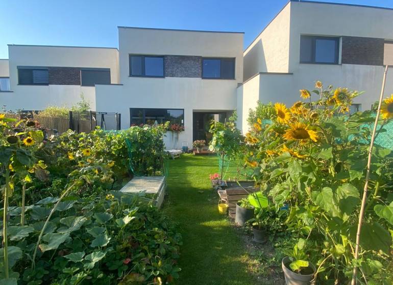 A garden with plants and sunflowers in front of a family house on Radova Street in Nova Dedinka.