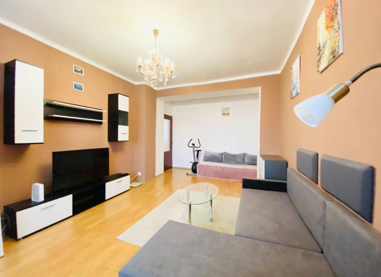 Living room in a two-room apartment with a wooden decor floor and a comfortable sofa.