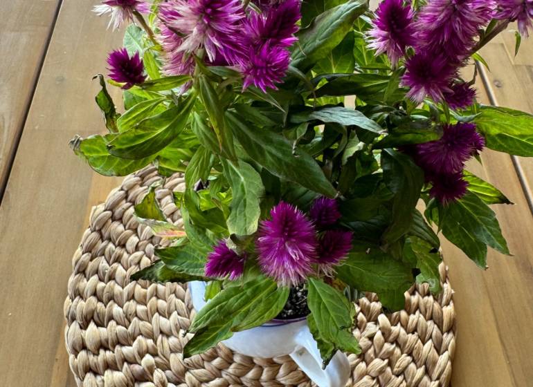 Purple flowers in a white container on a wooden table, decorated with a woven mat.