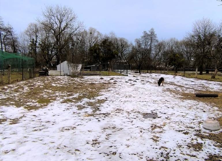 Snow-covered residential plots in Krásnohorské Podhradie, Mierová Street, without deciduous forest.