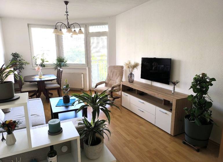 Living room with wood-patterned flooring, a television, and plants in a two-room apartment.