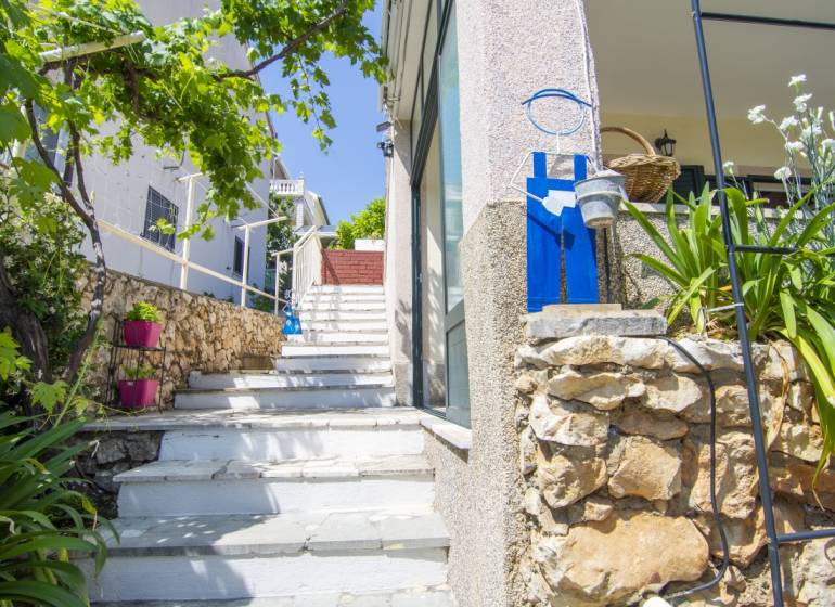 Stairs and greenery leading to a recreational apartment in Čiovo, surrounded by plants.