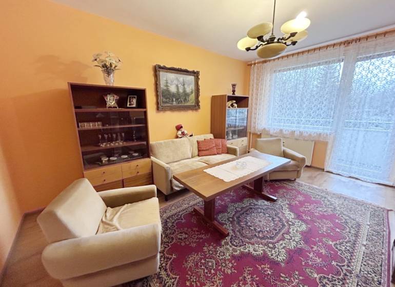 Living room in a two-room apartment with a wooden decor floor and a carpet.