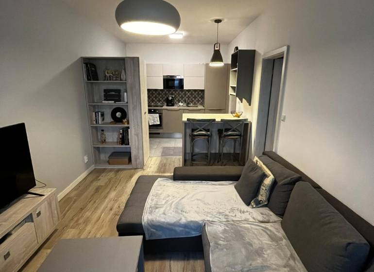 Living room with kitchen in a 2-room apartment, gray sofa, floor with wood decor.