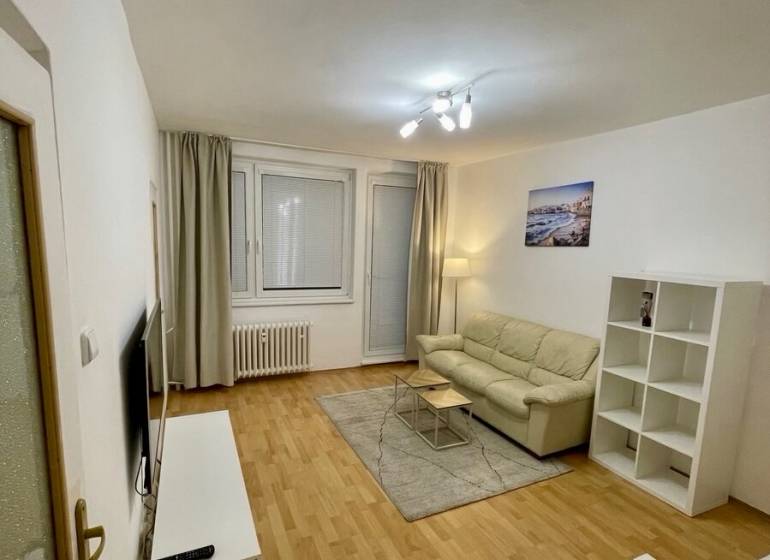 Living room with a sofa, television, and wooden decor flooring in a studio apartment.