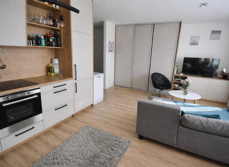 Interior of a 1-room apartment with a gray sofa, kitchen unit, and floor with wood decor.