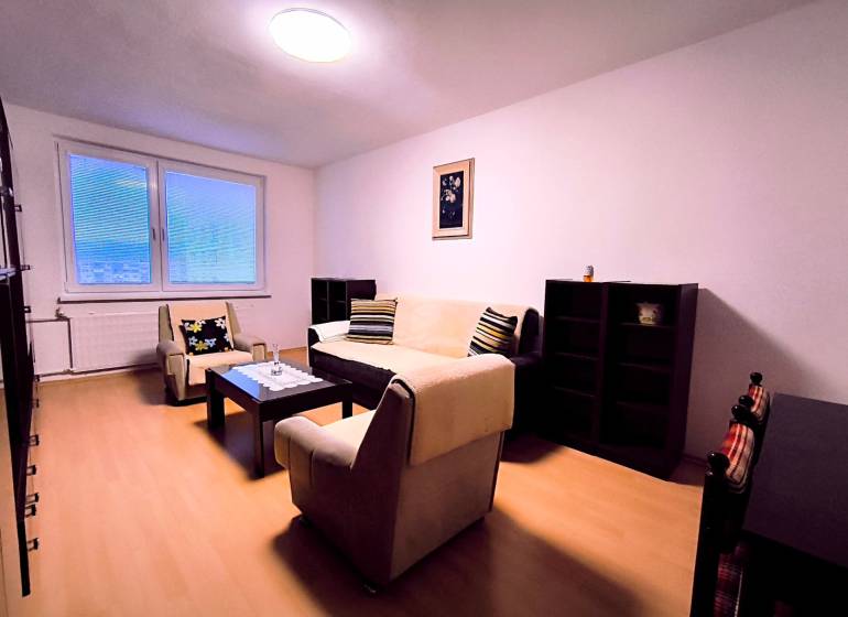 Living room in a 2-room apartment with minimalist furniture and a wooden decor floor.