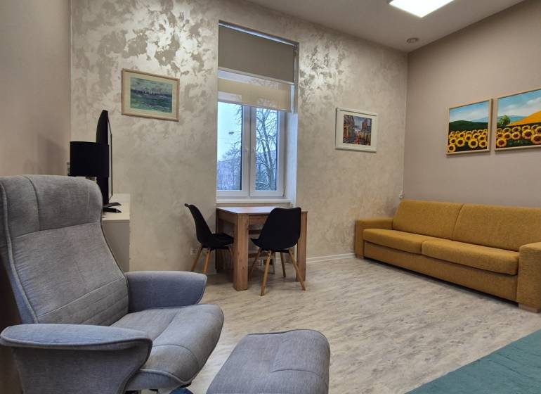 Living room of a one-room apartment with an armchair, sofa, and table, floor with wood decor.
