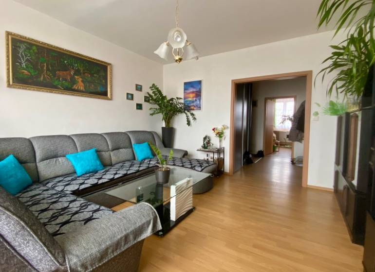 Living room in a 3-room apartment with a sofa, wood-patterned flooring, and decorations.