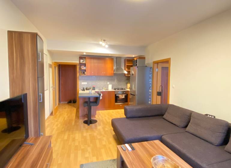Living room in a two-room apartment with a wooden decor floor and a sofa.