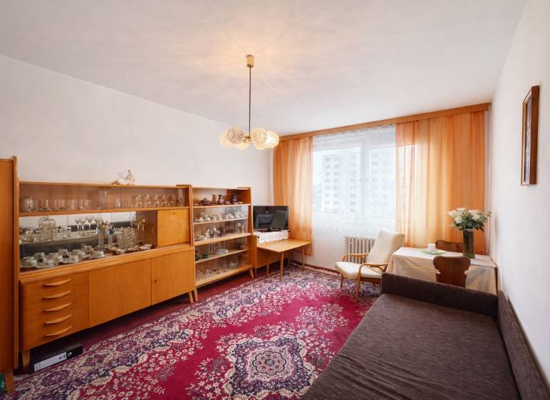 Living room in a one-room apartment with furniture and a carpet with a red pattern.