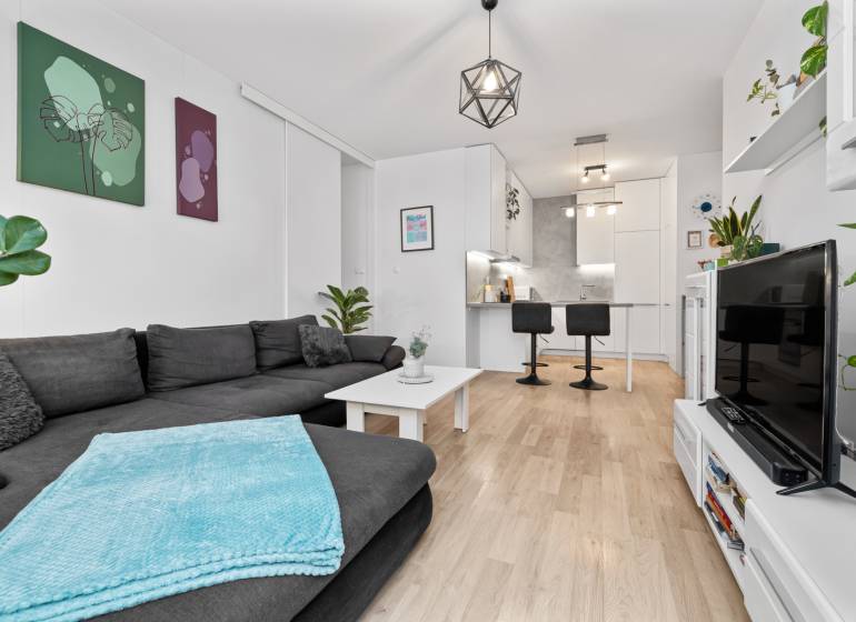 Living room with a kitchenette, gray sofa, and wood-patterned flooring in a three-room apartment.