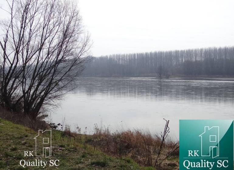 The river with trees near residential plots at the Old Port Gabčíkovo.