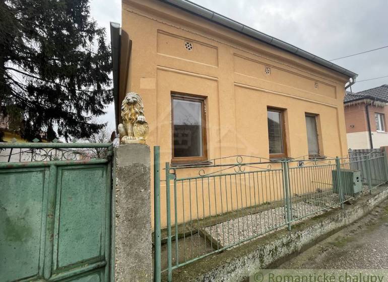 A family house in Neded with a brick facade, a green fence, and a lion statue.