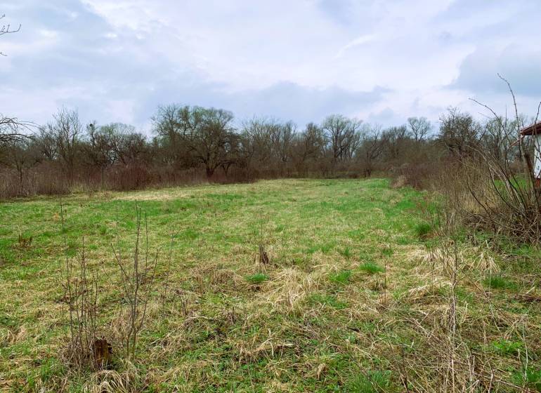 Greenery and trees on a plot suitable for living on Hlavná Street.
