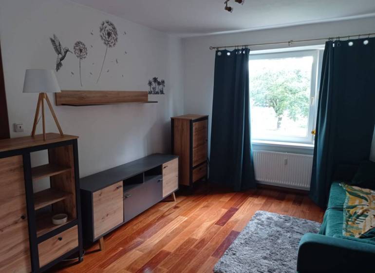 Living room with wood-patterned flooring and furniture in a two-room apartment.