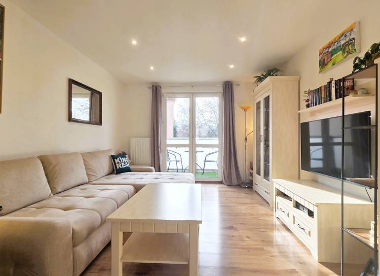 Living room in a 2-room apartment with a wooden decor floor and a comfortable couch.