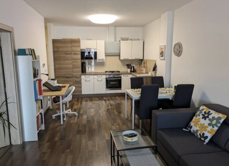 Living room with kitchen and dining area in a two-room apartment. Floor with wood decor.