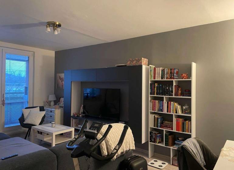 Living room of a two-room apartment with a wooden decor floor and a bookshelf.