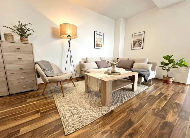 Living room in a three-room apartment with a wooden decor floor, light furniture, and a plant.