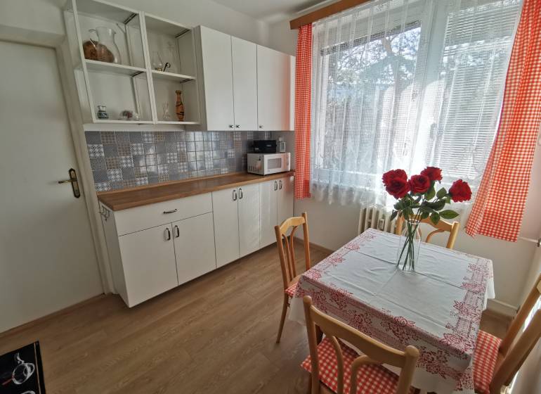 A kitchen in a 2-room apartment with a wooden decor floor and red curtains.