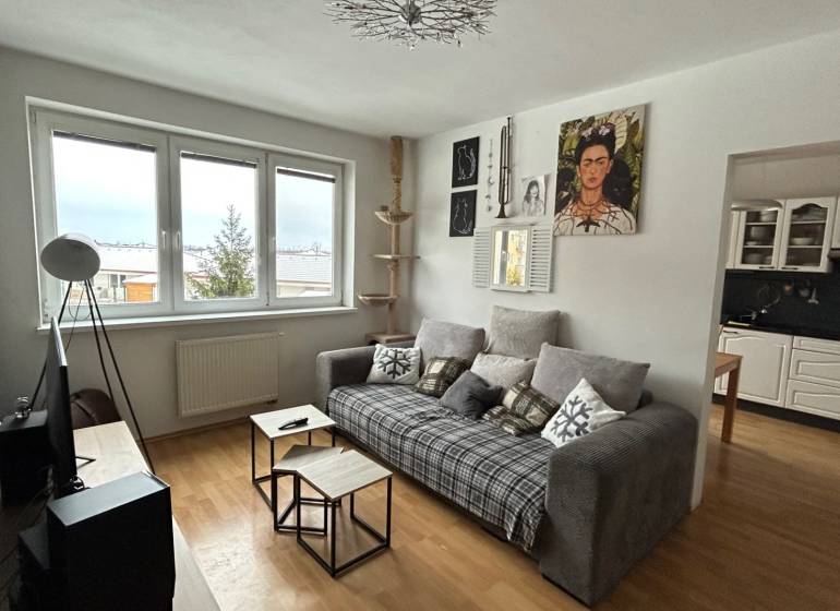Living room in a two-room apartment with a wooden decor floor, a comfortable couch, and a kitchen.